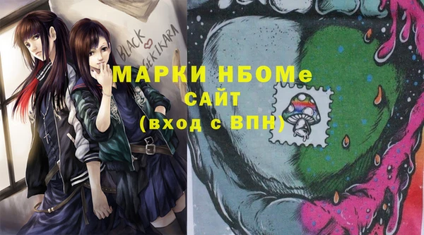 прущие грибы Белая Холуница