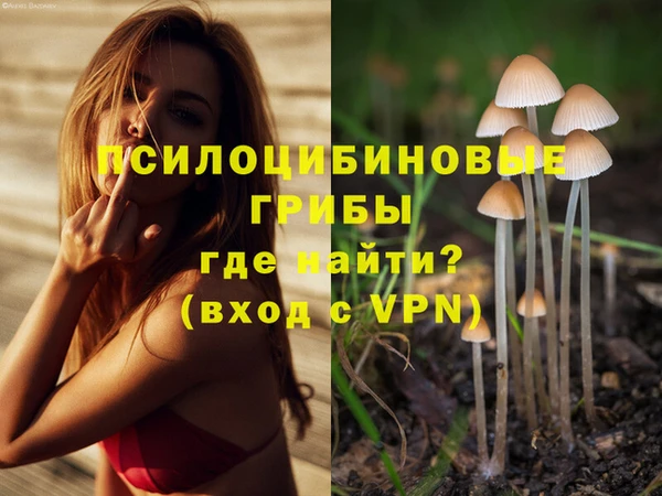 амф Медвежьегорск