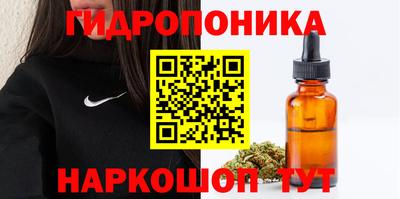 стафф Кулебаки