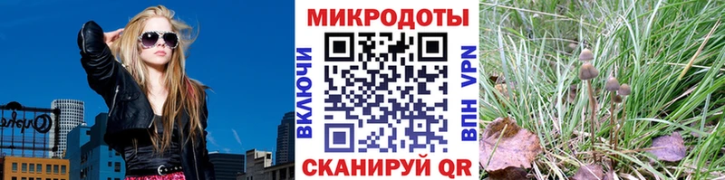 купить закладку  Топки  Галлюциногенные грибы ЛСД 