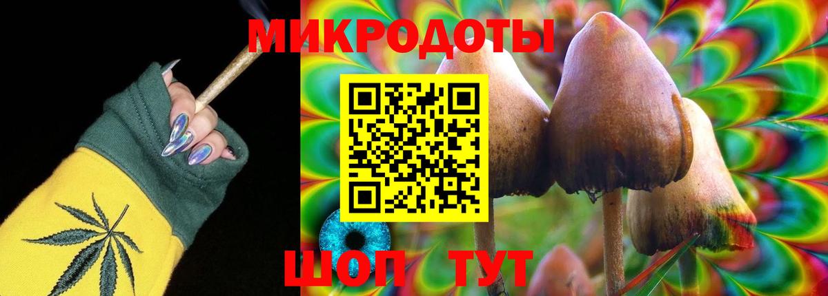 сколько стоит  Псилоцибиновые грибы мухоморы  Вход с VPN  Топки 